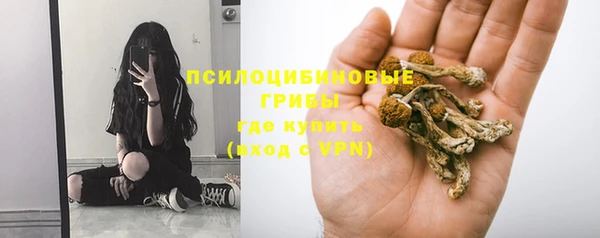 меф Заволжск